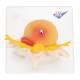 3B Scientific A76 Lumbar Vertebrae Teaching Model - 3B Smart Anatomy