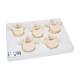 3B Scientific A792 Set of 5 BONElike Lumbar Vertebrae - 3B Smart Anatomy