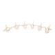 3B Scientific A793 Set of 24 BONElike Vertebrae in Suitcase - 3B Smart Anatomy
