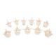 3B Scientific A793 Set of 24 BONElike Vertebrae in Suitcase - 3B Smart Anatomy