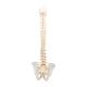 3B Scientific A794 BONElike Spinal Column (Complete Mounted)