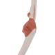 3B Scientific A83 Functional Elbow Joint Model
