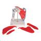 3B Scientific A880 Shoulder Joint with Rotator Cuff 5-Part - 3B Smart Anatomy
