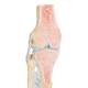 3B Scientific A89 Sectional Knee Joint Model 3-Part - 3B Smart Anatomy