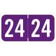 Arden Label ACYM-24-T4 2024 Year Labels - ACME/S&W Compatible - Size 3/4" H x 1 1/2" W