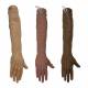 Training Bridge Advanced IV Arm, Geriatric Series - All Skin Tones