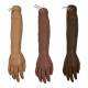 Training Bridge Advanced IV Arm, Male Series - All Skin Tones
