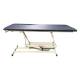 Pivotal Health AM-100 AM Hi-Lo Treatment Table with 1 Section (The Paper Holder is Sold Separately)
