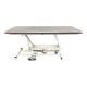 Pivotal Health AM-150 AM Hi-Lo Treatment Table with 1 Section and Casters