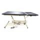 Pivotal Health AM-240 AM Bobath Hi-Lo Treatment Table with 2 Section