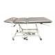 Pivotal Health AM-368 AM Super Bariatric Hi-Lo Treatment Table with 3 Section - Without Power Tilt Back
