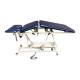 Pivotal Health AM-505 AM Hi-Lo Treatment Table with 5 Section and Casters - Elevating Midsection and Adjustable Armrests