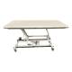 Pivotal Health AM-BA134 AM-BA Bariatric Bar Activated Hi-Lo Treatment Table with 1 Section