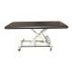 Pivotal Health AM-BAX1000 AM-BAX Hi-Lo Treatment Table, Bar Activated with 1 Section