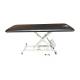 Pivotal Health AM-SX1000 AM AM-SX Hi-Lo Treatment Table with 1 Section