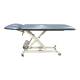 Pivotal Health AM-SX2000 AM AM-SX Hi-Lo Treatment Table with 2 Section