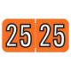 Arden Label ARYM-25-T4 Amerifile Compatible ARYM Series 2025 Year Labels - Size 3/4" H x 1 1/2" W