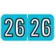 Arden Label ARYM-26-T4 Amerifile Compatible ARYM Series 2026 Year Labels - Size 3/4" H x 1 1/2" W
