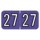 Arden Label ARYM-27-T4 Amerifile Compatible ARYM Series 2027 Year Labels - Size 3/4" H x 1 1/2" W