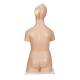 3B Scientific B32 Deluxe Dual Sex Torso with Head Model 20-Part - 3B Smart Anatomy