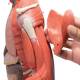 3B Scientific B55 Half Life-Size Complete Dual Sex Muscle Figure With Internal Organs 33-Part - 3B Smart Anatomy