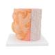 3B Scientific B60 MICROanatomy Muscle Cross Section - 3B Smart Anatomy
