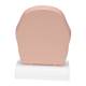 3B Scientific C13-1 Head Section Model - 3B Smart Anatomy