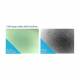 Cell Images Taken with IncuView™ - Neural Stem Cells and NE-4C Cells
