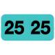 Arden Label CFYM-25-T4 Control-O-Fax Compatible CFYM Series 2025 Year Labels - Size 3/4" H x 1 1/2" W