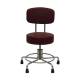 Creative Living Medical CHM8031-01MRI Non-Magnetic Stool with Rubber Tips and Backrest, 15" to 21" Height Adjustable