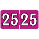 Arden Label CYPK-25 Colwell Compatible CYPK Series 2025 Year Labels - Size 1/2" H x 1" W