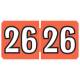 Arden Label CYPK-26 Colwell Compatible CYPK Series 2026 Year Labels - Size 1/2" H x 1" W