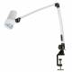 Waldmann D15994900 HALUX N30-1 P F1 LED Reading Light with 32.3" Articulating Double Arm - Table Clamp Mounted