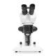 LW Scientific DMM-S13N-7LL3 DM Dual Mag Binocular Stereo Microscope with Dual LED Light Stand - Front View