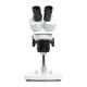 LW Scientific DMM-S13N-PL77 DM Dual Mag Binocular Stereo Microscope with Pole Stand - Front View