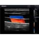 Edan DUS60-MAINUNIT DUS60 Black-and-White Compact Ultrasound System - Clinical Image 1