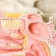 3B Scientific E20 Nose Model with Paranasal Sinuses 5-Part - 3B Smart Anatomy