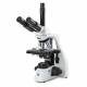Globe Scientific EBS-1153-PLI bScope Trinocular Compound Microscope, HWF 10x/20mm Eyepieces, Quintuple Nosepiece with Plan PLi