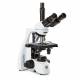 Globe Scientific EBS-1153-PLI bScope Trinocular Compound Microscope, HWF 10x/20mm Eyepieces, Quintuple Nosepiece with Plan PLi