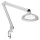 Burton EMLT Epic LED Magnifier, Table Mount (NEMA 5-15P Plug Type)