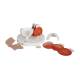 3B Scientific F17 Pathological Eye Model - 3B Smart Anatomy