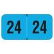 Arden Label FBYM-24-T4 2024 Year Labels - PMA Fluorescent Blue - Size 3/4" H x 1 1/2" W