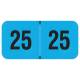 Arden Label FBYM-25-T4 PMA Fluorescent Blue 2025 Year Labels - Size 3/4" H x 1 1/2" W
