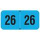 Arden Label FBYM-26-T4 PMA Fluorescent Blue 2026 Year Labels - Size 3/4" H x 1 1/2" W