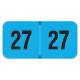 Arden Label FBYM-27-T4 PMA Fluorescent Blue 2027 Year Labels - Size 3/4" H x 1 1/2" W