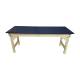 Pivotal Health Solutions FESS-LAB Lab and Desk Combo - Navy Blue Laminate Top
