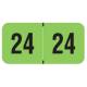 2024 Year Labels - PMA Fluorescent Green - Size 3/4" H x 1 1/2" W