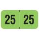 Arden Label FGYM-25-T4 PMA Fluorescent Green 2025 Year Labels - Size 3/4" H x 1 1/2" W