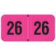 Arden Label FPYM-26-T4 PMA Fluorescent Pink 2026 Year Labels - Size 3/4" H x 1 1/2" W