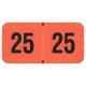 Arden Label FRYM-25-T4 PMA Fluorescent Red 2025 Year Labels - Size 3/4" H x 1 1/2" W